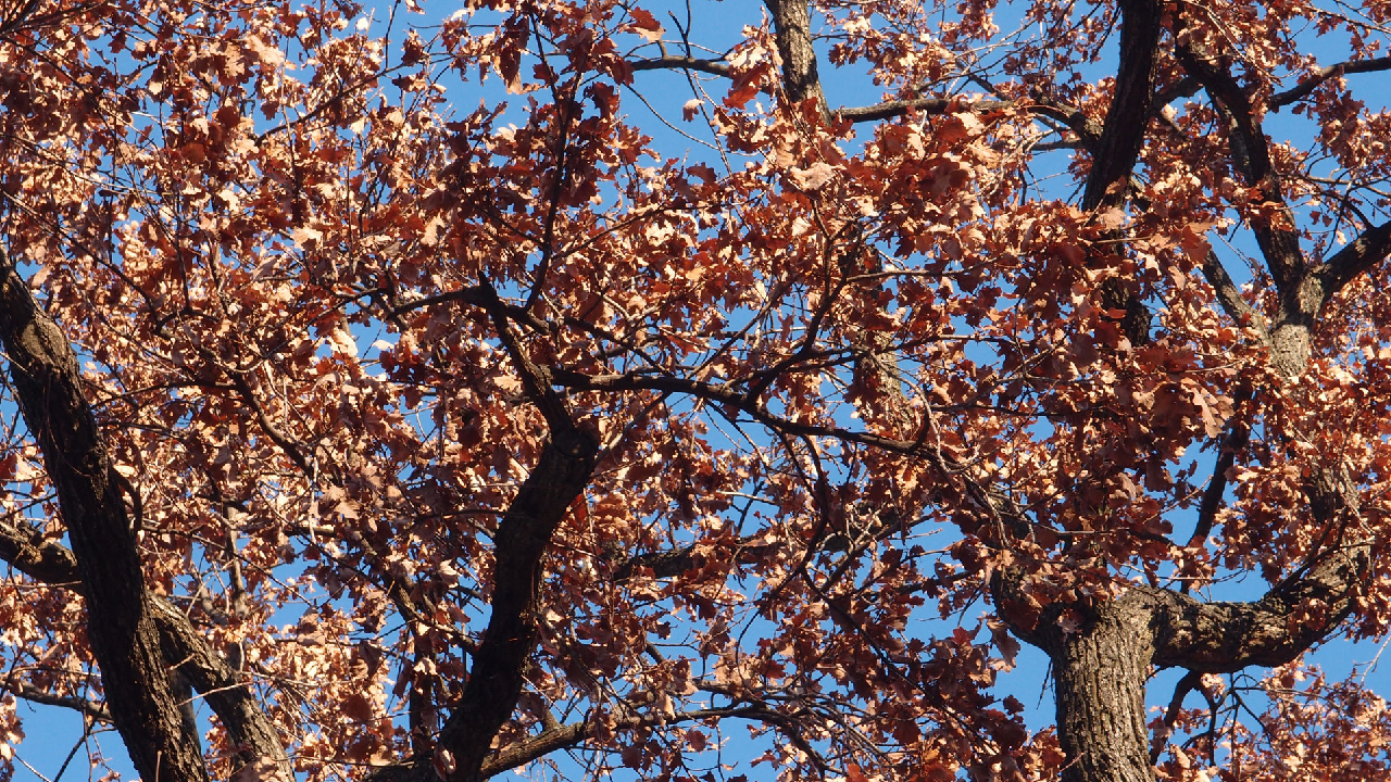 2020-12-26 Kühlgeträt (On/Off) (Remix John Cage - Empty Words IV)